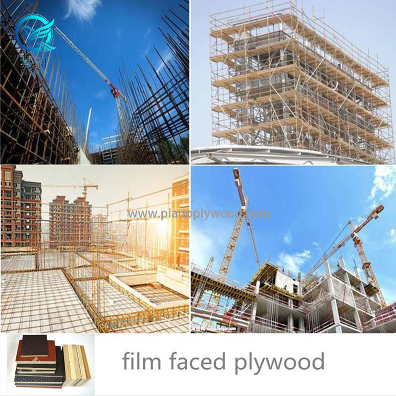 EUROTEGO 610*2500*20mm Film Faced Plywood